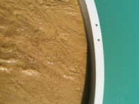 thickener_mud